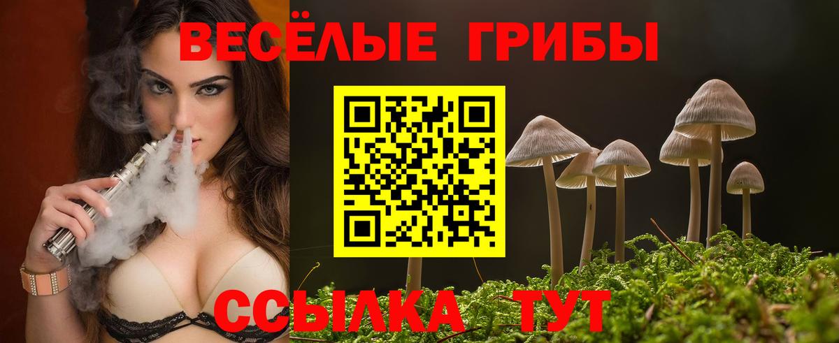 Галлюциногенные грибы мицелий Нижнеудинск